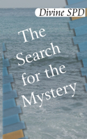 Search for the mystery