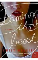 Taming the Beast