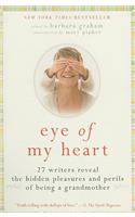 Eye of My Heart
