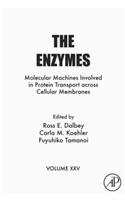 The Enzymes