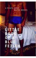 Little Book of blue Fetish