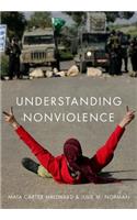 Understanding Nonviolence