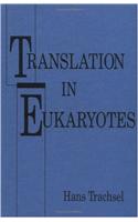 Translation in Eukaryotes