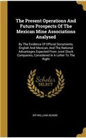 Present Operations And Future Prospects Of The Mexican Mine Associations Analysed