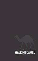 walking camel