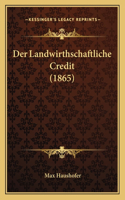 Der Landwirthschaftliche Credit (1865)