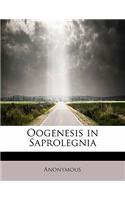 Oogenesis in Saprolegnia