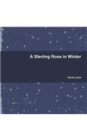A Sterling Rose in Winter