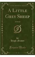 A Little Grey Sheep: A Novel (Classic Reprint)(English)