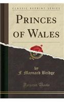 Princes of Wales (Classic Reprint)