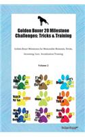 Golden Boxer 20 Milestone Challenges: Tricks & Training Golden Boxer Milestones for Memorable Moments, Tricks, Grooming, Care, Socialization Training Volume 2