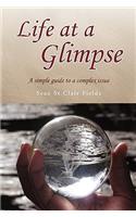 Life at a Glimpse