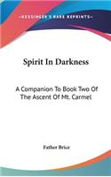 Spirit in Darkness: A Companion to Book Two of the Ascent of Mt. Carmel