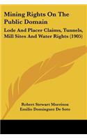 Mining Rights On The Public Domain