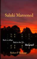 Saluki Marooned