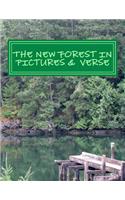 The New Forest in Picture & Verse