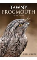 Tawny Frogmouth