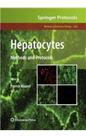 Hepatocytes