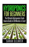 Hydroponics for Beginners