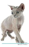 Devon Rex Affirmations Workbook Devon Rex Presents: Positive and Loving Affirmations Workbook. Includes: Mentoring Questions, Guidance, Supporting You.