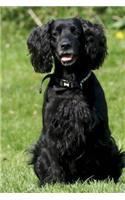 Darling Black English Cocker Spaniel Puppy Dog Journal: 150 Page Lined Notebook/Diary