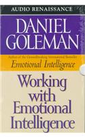 Working with Emotional Intelligence