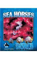 Sea Horses