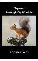 Orphans Through My Window