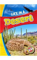 Life in a Desert