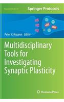 Multidisciplinary Tools for Investigating Synaptic Plasticity