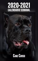 2020-2021 Calendario Semanal Cane Corso