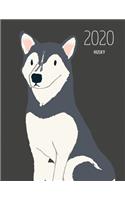 2020 Husky