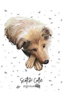 Scotch Collie 2020 Planner