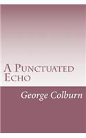 Punctuated Echo