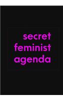 Secret Feminist Agenda