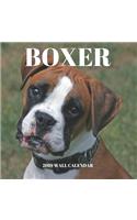 Boxer 2019 Wall Calendar: Mini Wall Calendar Dog Photography 12 Month Calendar Planner