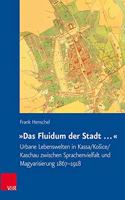 Das Fluidum Der Stadt ...