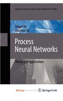 Process Neural Networks