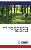Soil Carbon Sequestration in Tree Plantations and Natural Forest