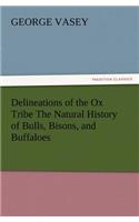 Delineations of the Ox Tribe the Natural History of Bulls, Bisons, and Buffaloes. Exhibiting All the Known Species and the More Remarkable Varieties o