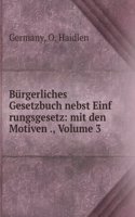 Burgerliches Gesetzbuch Nebst Einfrungsgesetz: Mit Den Motiven Und Sonstigen Gesetzgeberischen Vorarbeiten, Volume 3 (German Edition)