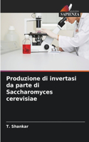 Produzione di invertasi da parte di Saccharomyces cerevisiae