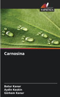 Carnosina