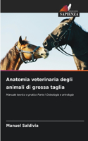 Anatomia veterinaria degli animali di grossa taglia