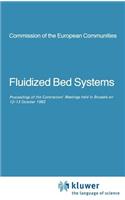 Fluidized Bed Systems