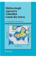 Multiwavelength Approach to Unidentified Gamma-Ray Sources