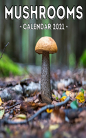 Mushrooms Calendar 2021