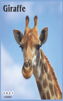 Giraffe 2021 Calendar: Beautiful Giraffe - 2021 Calendar 8.5" x 8.5" - glossy finish