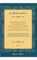 Meine Beobachtungen, Bestrebungun und Schicksale Mährend Meines Uusenthaltes im Kanton Zürich vom Jahr 1825 bis 1839, Vol. 1: Periode von 1825 bis 1832, Reform der Blindenanftalt und Errichtung des Taubstummeniaustitutes, Betrachtungen Über das Leb