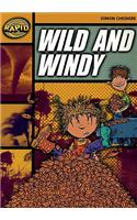 Rapid Reading: Wild and Windy (Stage 4, Level 4A)
